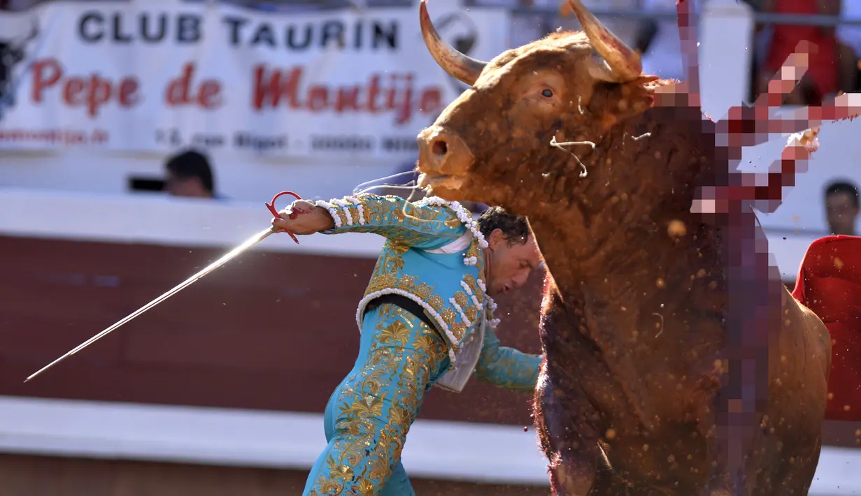 Matador Spanyol, Rafaelillo bertarung melawan banteng di Dax Arena, Perancis pada 14 Agustus 2016. (AFP PHOTO / Gaizka IROZ)