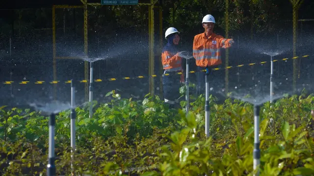 Untuk mendukung proses reklamasi lahan, PT Agincourt Resources membangun laboratorium mikoriza, yang merupakan salah satu fasilitas di Nursery seluas 6.000 meter persegi di dalam area Tambang Emas Martabe. (Dok: PTAR)