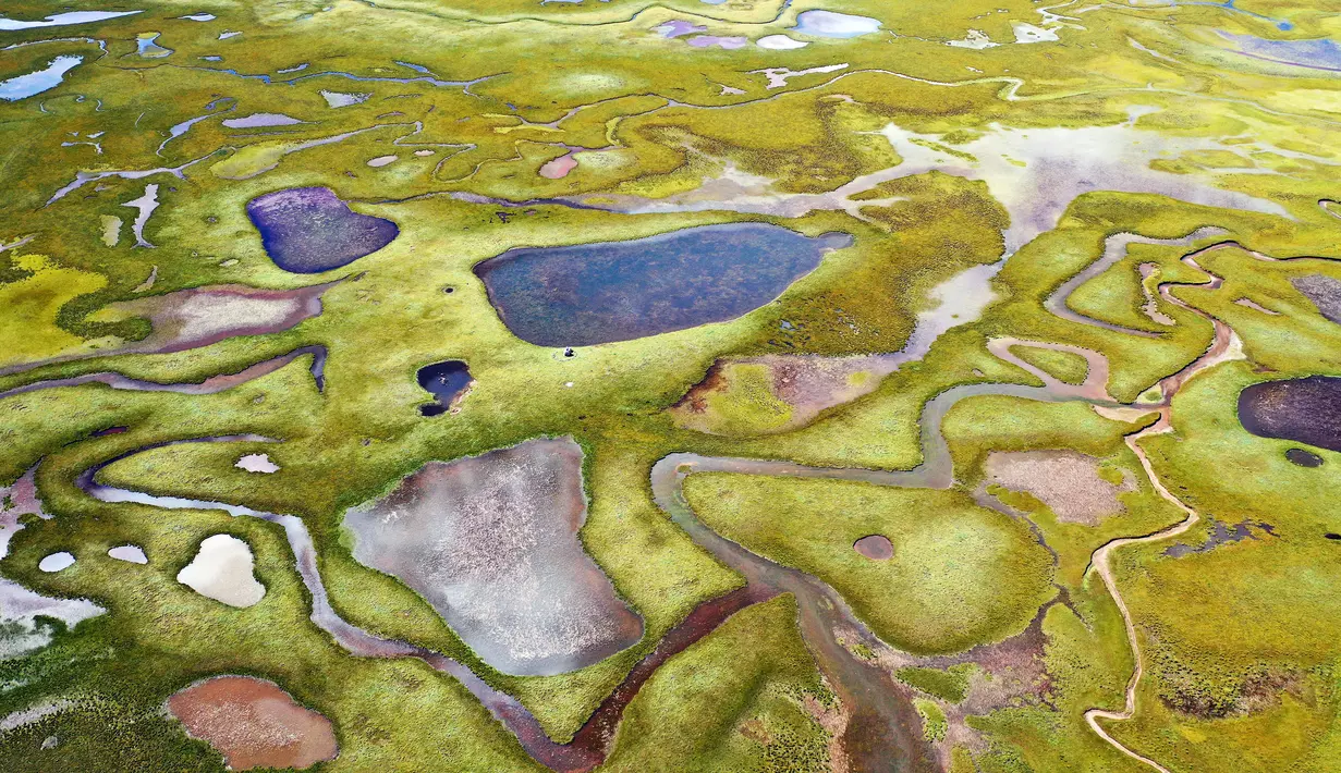Foto dari udara yang diabadikan pada 28 September 2020 ini menunjukkan pemandangan lahan basah Lhato di Wilayah Konjo, Qamdo, Daerah Otonom Tibet, China barat daya. (Xinhua/Zhan Yan)