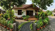 8 Ide Menata Halaman Rumah Agar Teduh Tanpa Biaya Mahal, Percantik dengan Tanaman Murah
