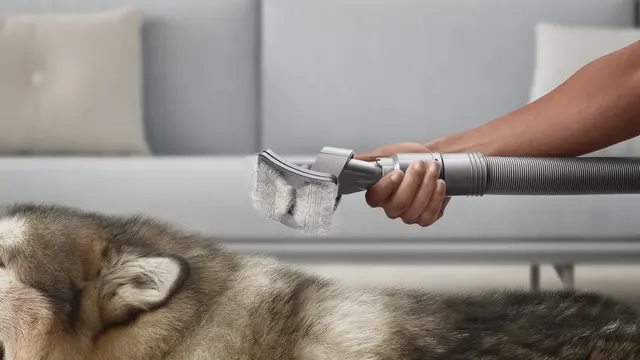 Membersihkan Debu Terkecil hingga Bulu Anabul Makin Mudah dengan Vakum Tanpa Kabel Berdaya Rendah