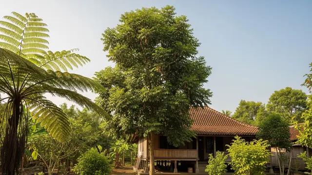 13 Jenis Pohon Tinggi yang Cocok Ditanam Dekat Rumah Desa Tanpa Merusak Pondasi