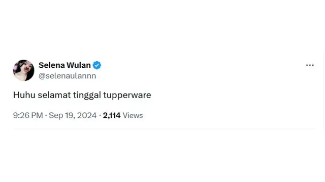 6 Cuitan Sedih Netizen Tupperware Bangkrut, Tak Ada Lagi Drama Dimarah Ibu
