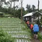 Ilustrasi – Pendaki Gunung Slamet dari Pos Bambangan, Purbalingga, Jawa Tengah. (Foto: Liputan6.com/Muhamad Ridlo)