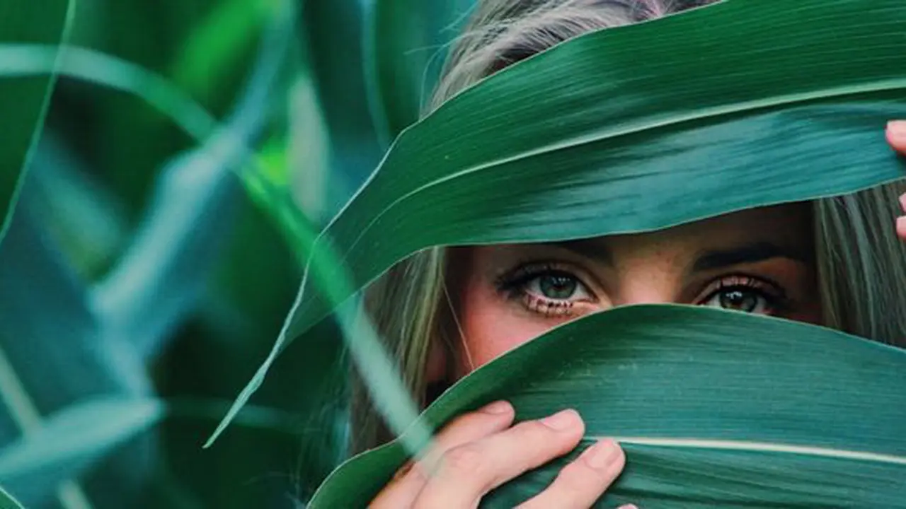 Zodiak pengamat terbaik/copyright Pexels.com