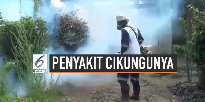 VIDEO: Virus Cikungunya Mulai Serang Warga Bogor