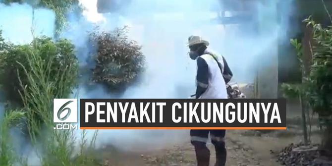 VIDEO: Virus Cikungunya Mulai Serang Warga Bogor
