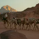 6 Kisah Akhlak Nabi Muhammad SAW dalam Kehidupan Sehari-hari, Teladan Terbaik Umat Islam