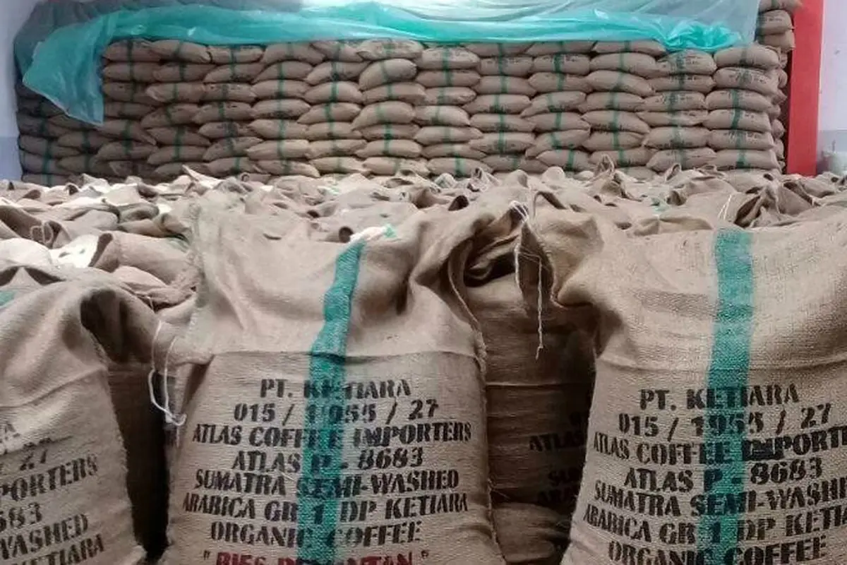 Tiga calon pembeli dari Jerman, Inggris, dan Perancis membatalkan kontrak dengan salah satu perusahaan pengepul kopi Gayo karena sampel yang dikirim mengandung glifosat (Liputan6.com/Rino Abonita)