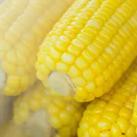 Masker pati jagung berkhasiat untuk menuntaskan masalah jerawat (pexels.com/NEOSiAM 2021)