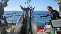 Menteri Kelautan dan Perikanan Sakti Wahyu Trenggono berkunjung ke lokasi budidaya pembesaran tuna di laut Izmir, Turki. (Dok KKP)