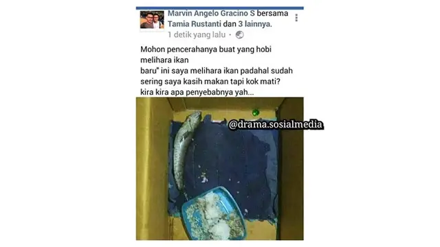 Pertanyaan Lucu di Media Sosial Ini Malah Bikin Emosi