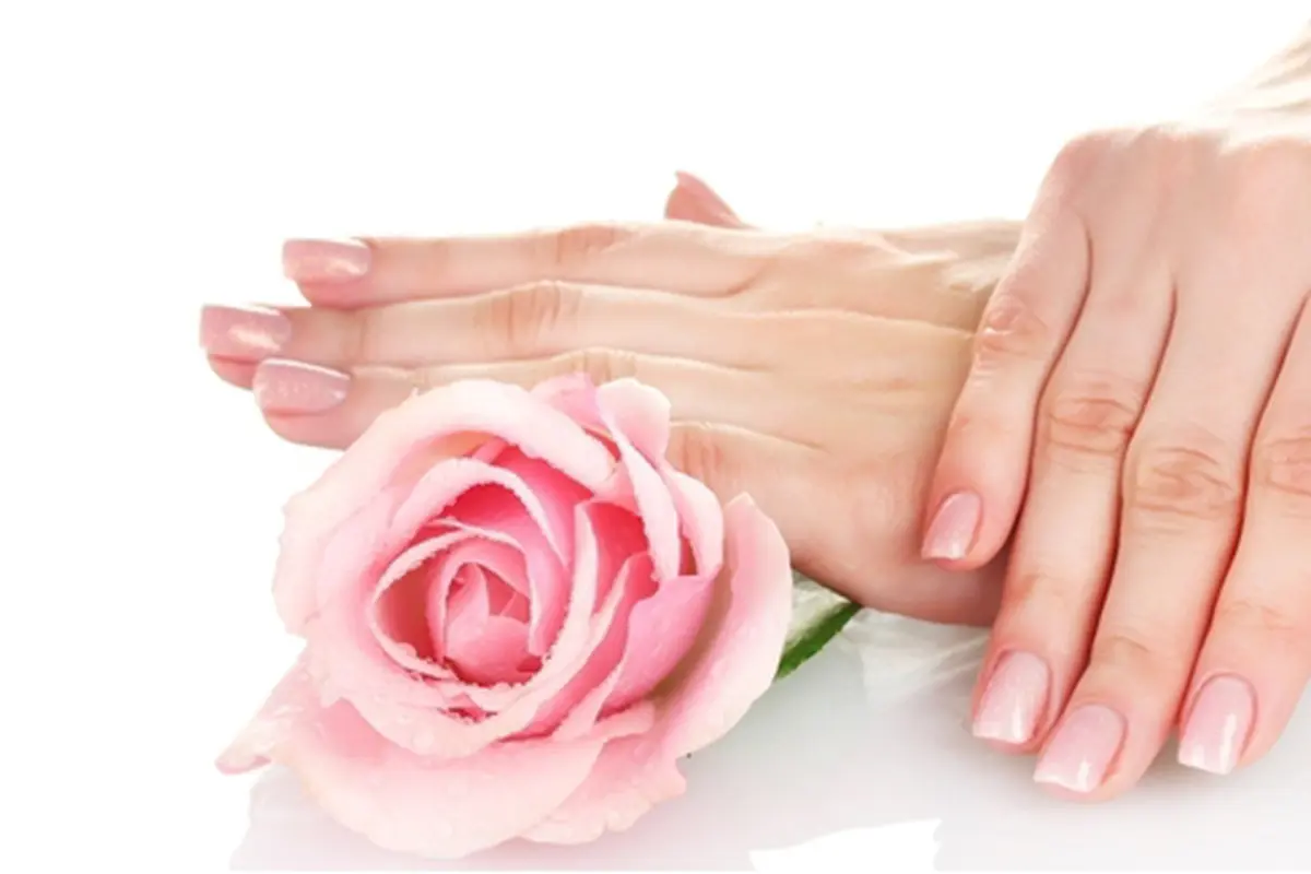 Foto : copyright shutterstock.com