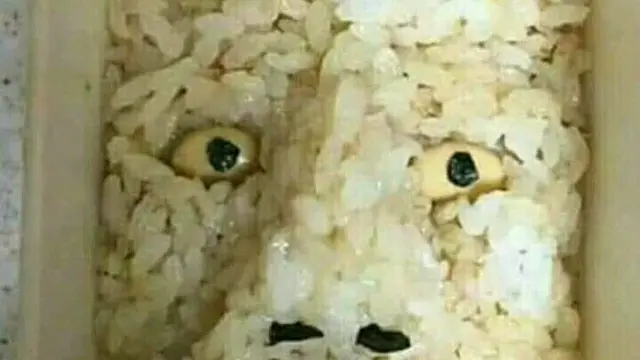 7 Potret Plating Makanan dengan Bentuk Muka Ini Kocak Banget