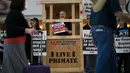 Aktor kawakan AS, James Cromwell ikut berdemonstrasi bersama aktivis PETA yang menuntut Air France berhenti menerbangkan monyet untuk keperluan laboratorium di Bandara Internasional Los Angeles, California (28/4/2014). (REUTERS/Mario Anzuoni)