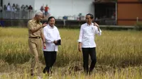 Momen akrab Presiden Joko Widodo (Jokowi) bersama Gubernur Jawa Tengah Ganjar Pranowo dan Menteri Pertahanan Prabowo Subianto saat meninjau panen raya di ladang sawah Ambal, Kabupaten Kebumen. (Istimewa)