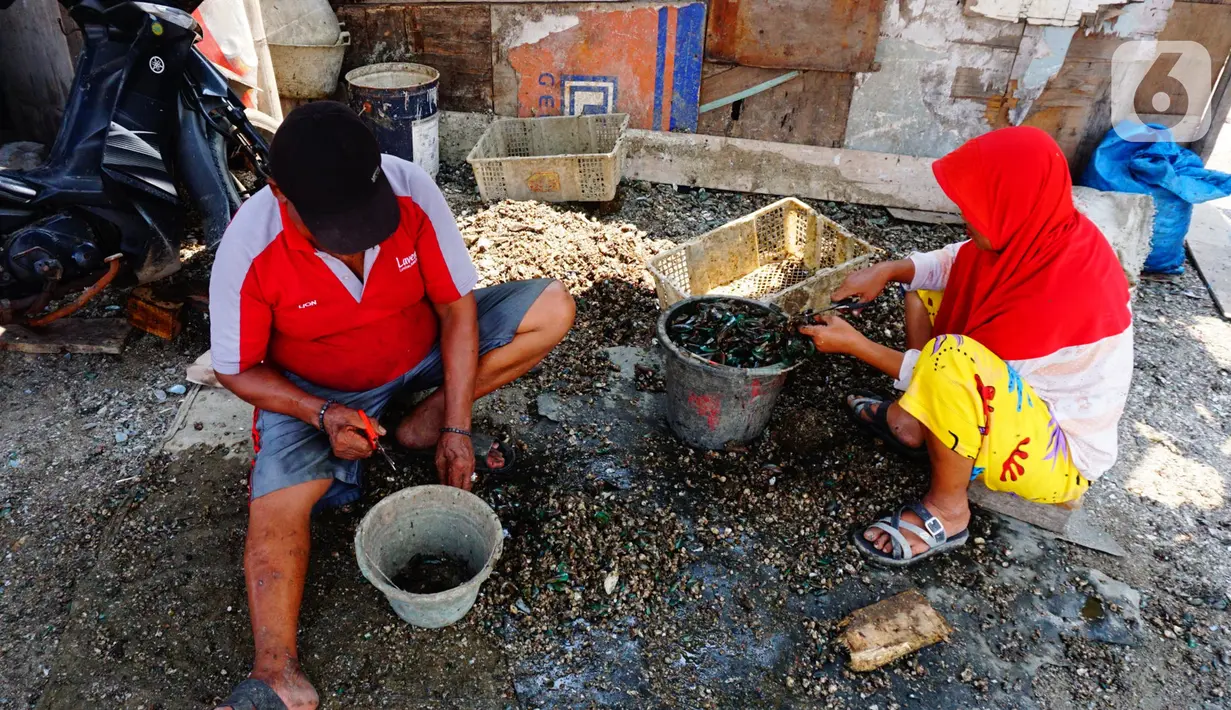 Pekerja mengupas kerang hijau di Kawasan Dadap, Kecamatan Kosambi, Kabupaten Tangerang, Rabu (22/9/2021). Kerang hijua tersebut dijual dengan harga Rp 20 ribu per kilogramnya di wilayah Tangerang Raya.. (Liputan6.com/Angga Yuniar)