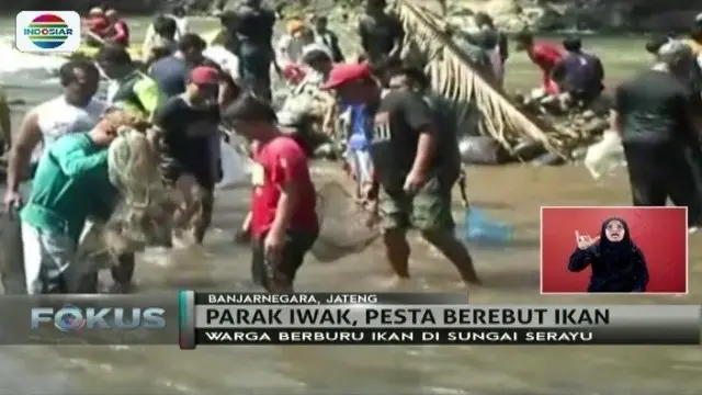 Ribuan warga di Banjarnegara, Jawa Tengah, lakukan tradisi parak iwak. Seperti apa?
