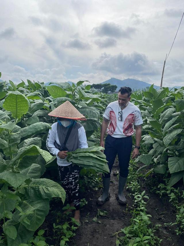 Jeremy Thomas Jadi Petani Tembakau