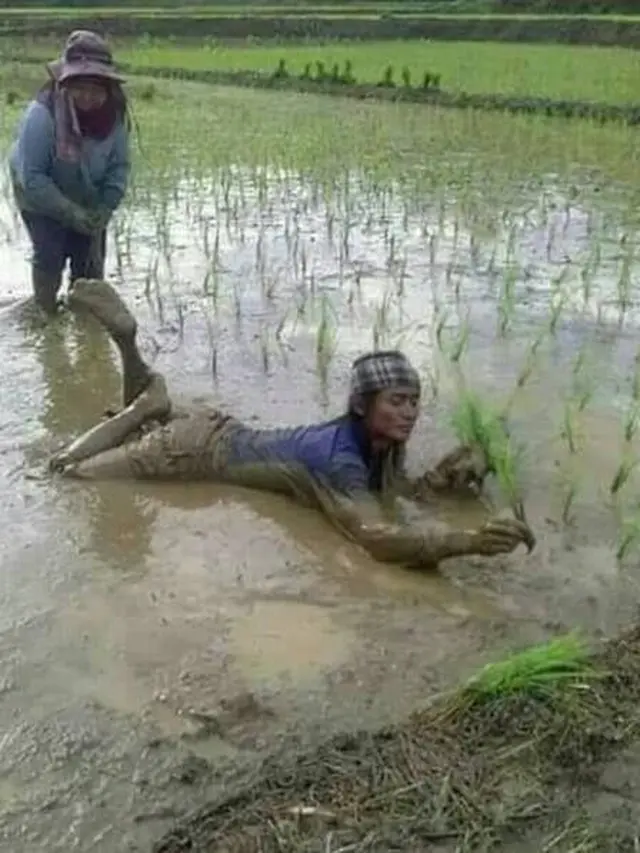 6 Kelakuan Bapak-Bapak saat Menamam Ini Bikin Geleng Kepala