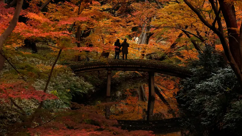 Cantiknya Taman-Taman Tokyo Kala Musim Gugur