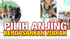 Anda menolak berpacaran dengan orang berbintang Aries? Atau menghindari bisnis dengan orang bershio Macan? Tak sedikit orang mengacu pada astrologi untuk menentukan pilihan. Ini disadari sebuah pusat adopsi hewan peliharaan, yang kemudian menggarap s...