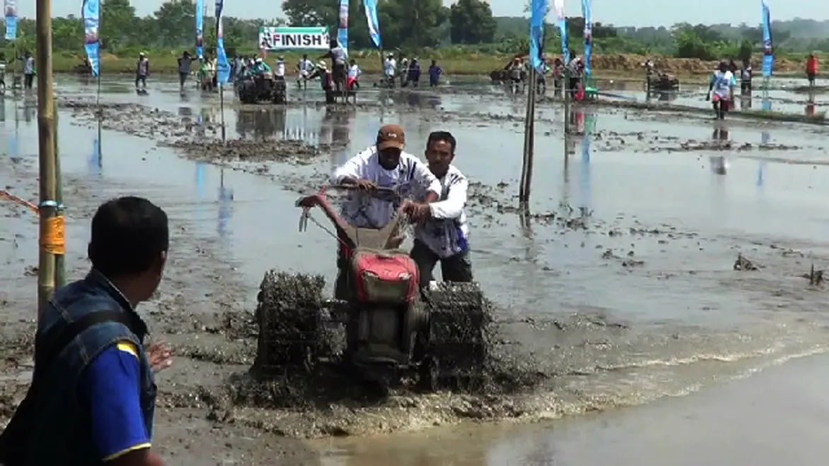 Para petani Probolinggo menyambut musim tanam padi dengan balap traktor tangan. (Liputan6.com/Dian Kurniawan)