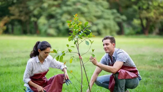 Ilustrasi menanam pohon bersama/freepik.com/EyeEm