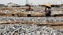 Warga menjemur ikan asin di Muara Angke, Jakarta, Rabu  (13/9). Produksi ikan asin yang merupakan usaha rumah tangga nelayan di daerah tersebut mengalami peningkatan hingga 50 persen saat musim kemarau. (Liputan6.com/Angga Yuniar)