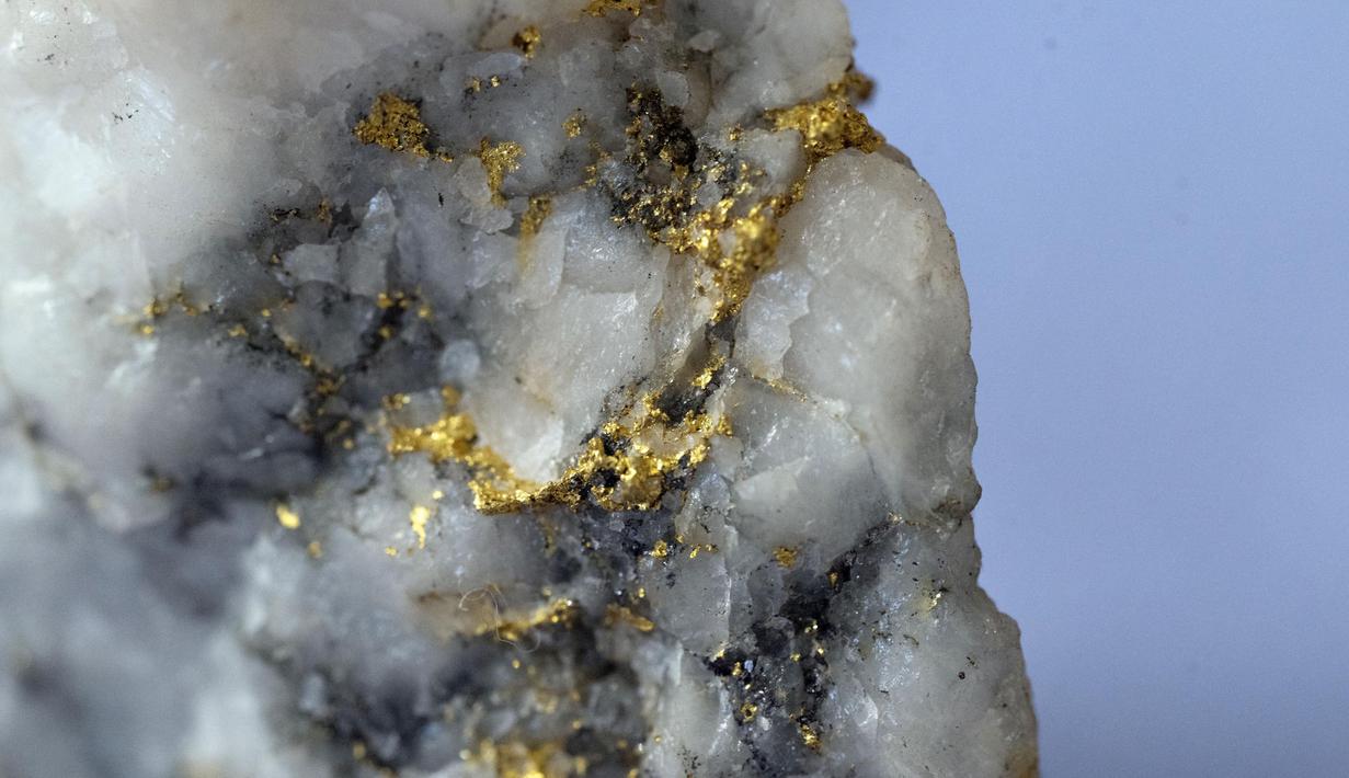 Pertambangan tersebut kembali diaktifkan akibat harga emas yang terus melambung tinggi. (Oli SCARFF/AFP)