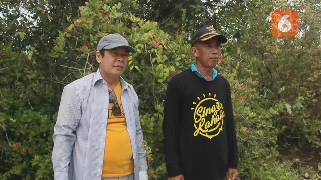 Hutan Anggrek Kenohan
