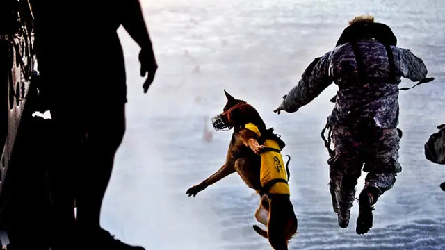 SEAL Team 6 (10)