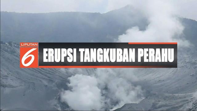 Berita Gunung Tangkuban Perahu Meletus Hari Ini Kabar Terbaru