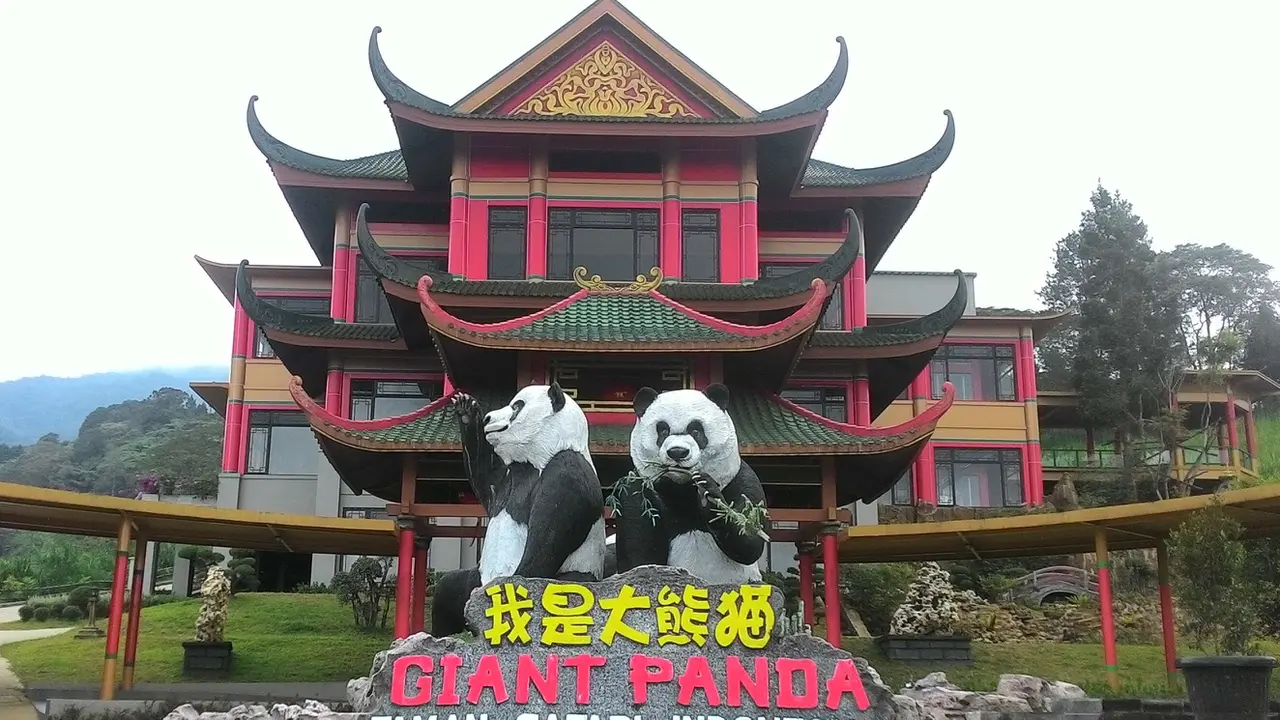 panda safari