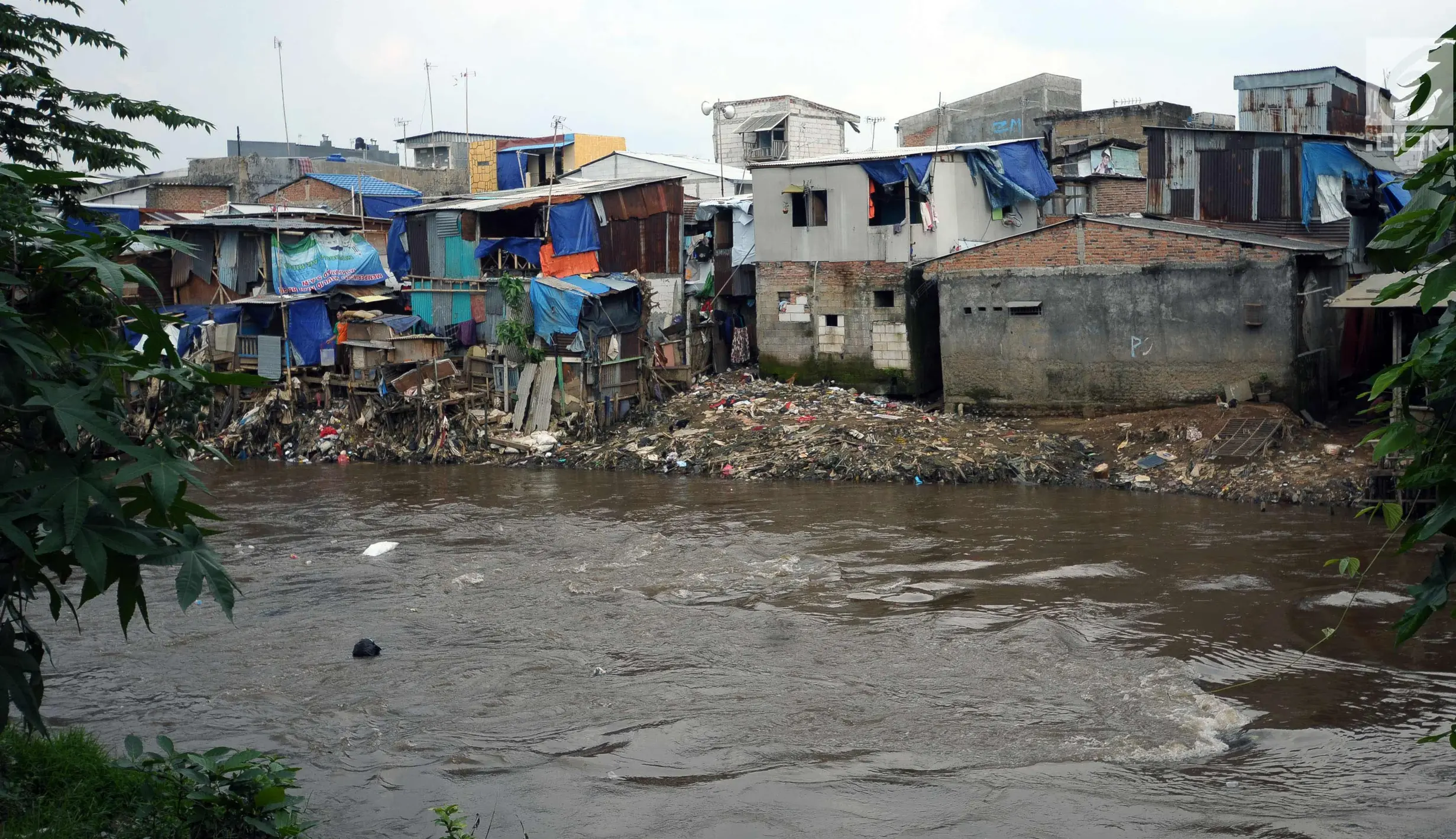 FOTO: Bangunan di Bantaran Kali Ciliwung Segera Direlokasi - Foto ...