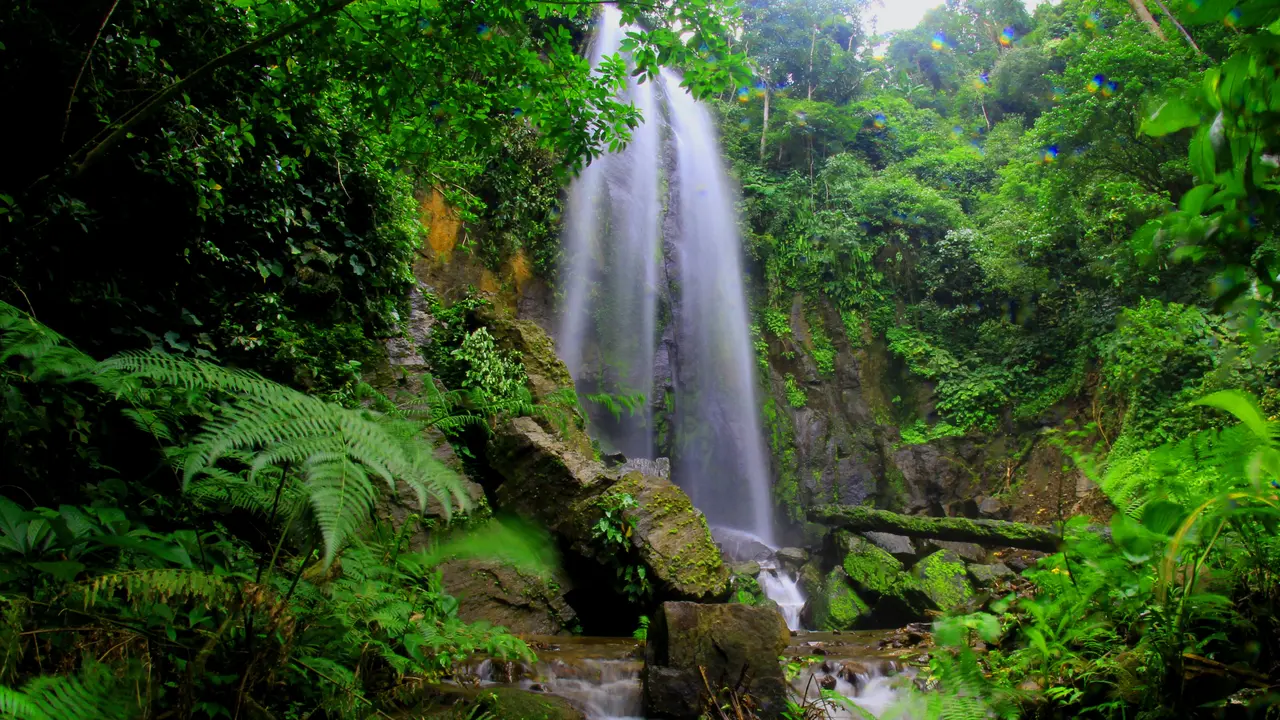 Sempat Meluap ke Jalan, Debit Air Terjun Lembah Anai Kembali Normal