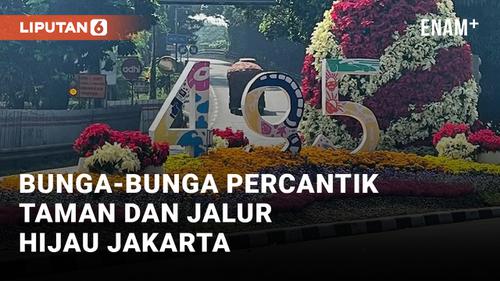 VIDEO: Jakarta Hajatan ke-495, Taman dan Jalur Hijau Dipercantik