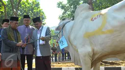 Wakil Walikota Tanggerang, Sachrudin (kanan) memberikan sapi untuk kurban kepada panitia di Masjid Al-Azom, Tangerang, Kamis (24/9/2015). (Liputan6.com/Faisal R Syam)