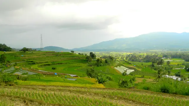 Nagari Andaleh
