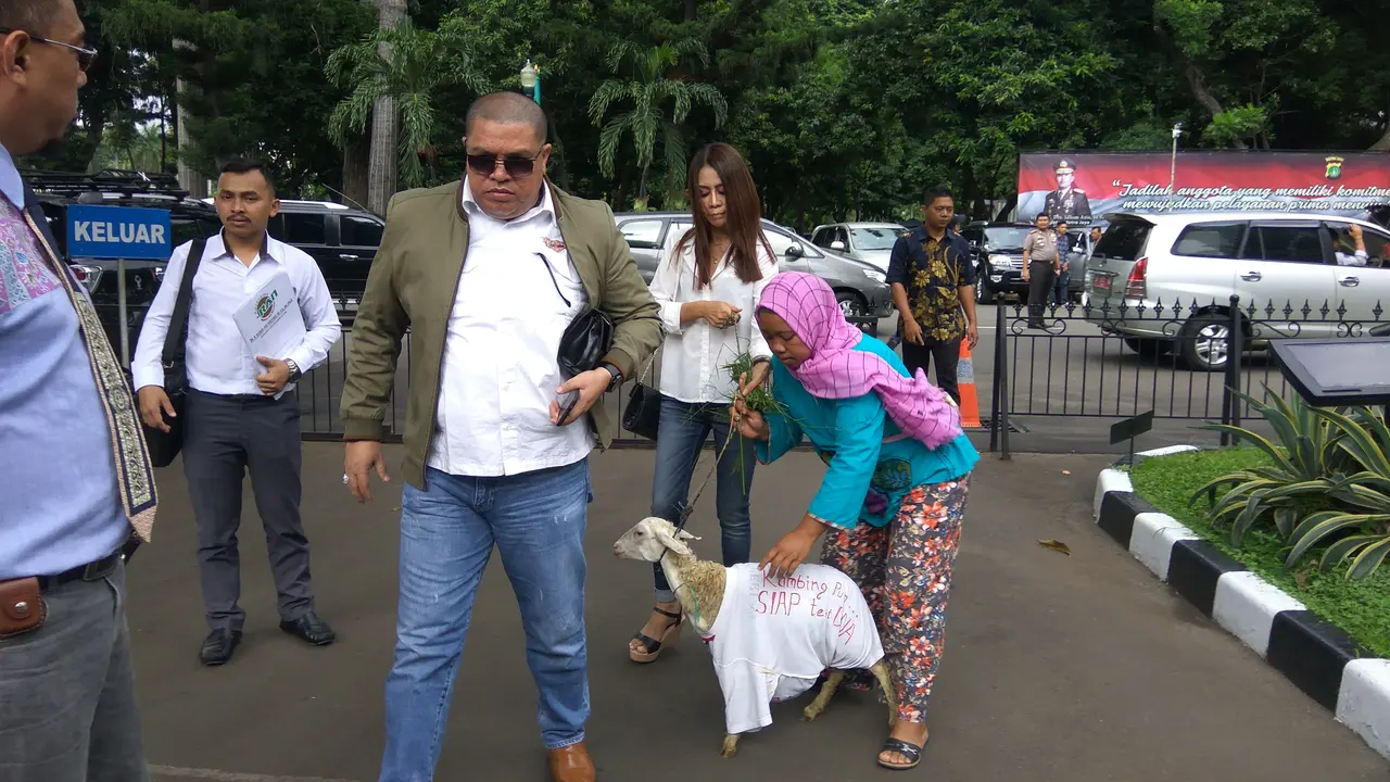 Pengacara Razman Nasution Bawa Kambing ke Kantor Polisi