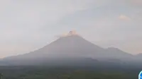 Gunung Semeru Alami erupsi, tinggi letusan mencapai 400 Meter (Istimewa)