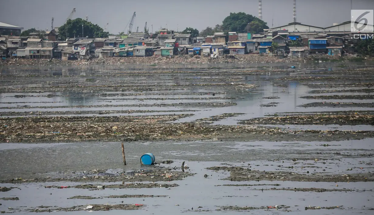 Suasana waduk Pluit yang mengalami pendangkalan di wilayah Penjaringan, Jakarta Utara, Sabtu (8/6/2019). Endapan lumpur cukup tebal yang diperparah dengan sampah menutupi permukaan air waduk tersebut mengantarkan aroma tidak sedap. (Liputan6.com/Faizal Fanani)