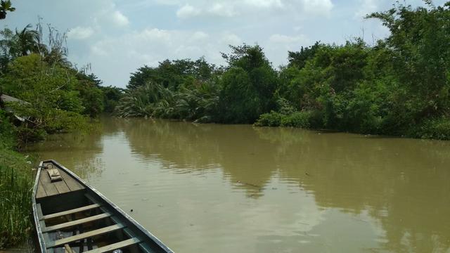 88 Koleksi Foto Penampakan Buaya Putih Terbaik