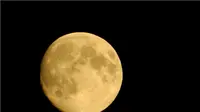 Selain Puasa, Ini Amalan Lain yang Bisa Dilakukan di Malam Nisfu Sya'ban
