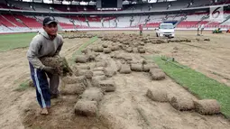 Pekerja memindahkan rumput yang ada di Stadion Utama Gelora Bung Karno (SUGBK), Jakarta, Jumat (18/5). Pemindahan rumput dilakukan agar kondisi rumput tak rusak saat persiapan pembukaan Asian Games 2018 mendatang. (Liputan6.com/Johan Tallo)