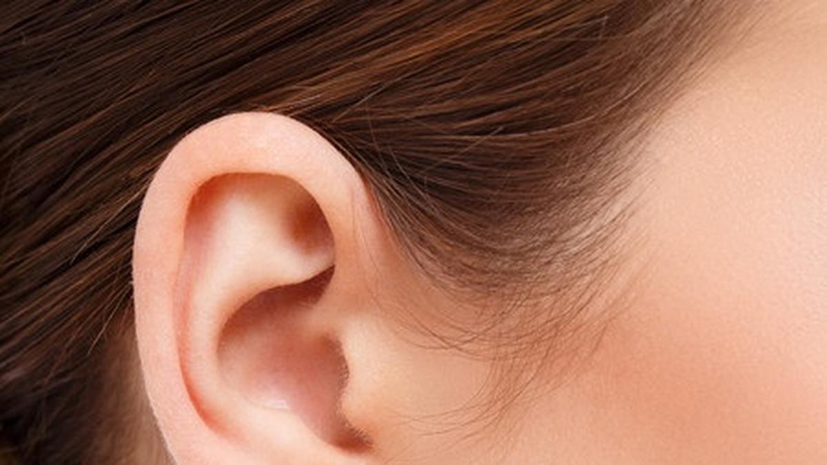 Makna Letak Tahi Lalat Di Telinga, Jawabannya Mengejutkan - Citizen6  Liputan6.Com