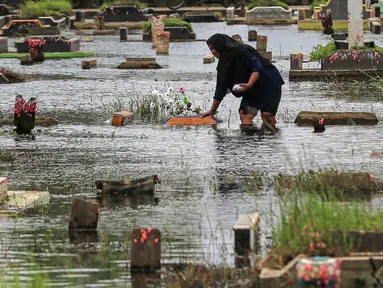 Seorang wanita mengunjungi makam anggota keluarganya di Tempat Pemakaman Umum (TPU) Semper, Cilincing, Jakarta Utara pada 15 Februari 2026. Meski terkendala genangan air, tradisi ziarah dan bersih makam menjelang Ramadan di Tempat Pemakaman Umum Semper, Cilincing, Jakarta Utara, tetap berlangsung khidmat. (Syinatria RESPATI/AFP)