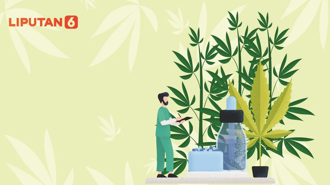 Banner Infografis Malaysia Legalkan Ganja untuk Medis. (Liputan6.com/Abdillah)