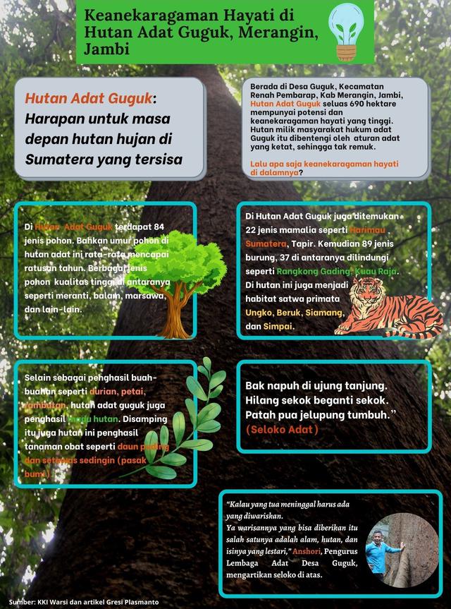 Infografis keragaman hayati Hutan Adat Guguk. (Liputan6.com/Gresi Plasmanto)