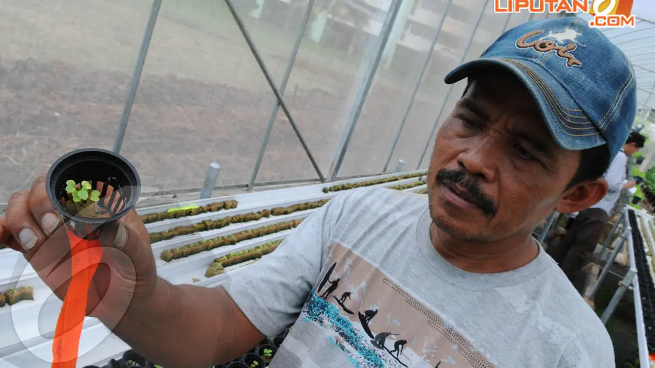 Green House Bikin Rusun Marunda Terlihat Asri